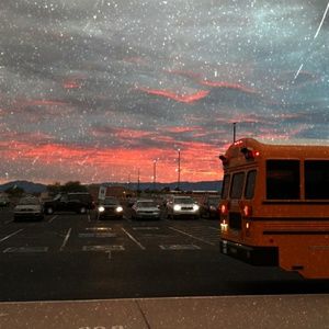 Meet your Posher, Roxanne